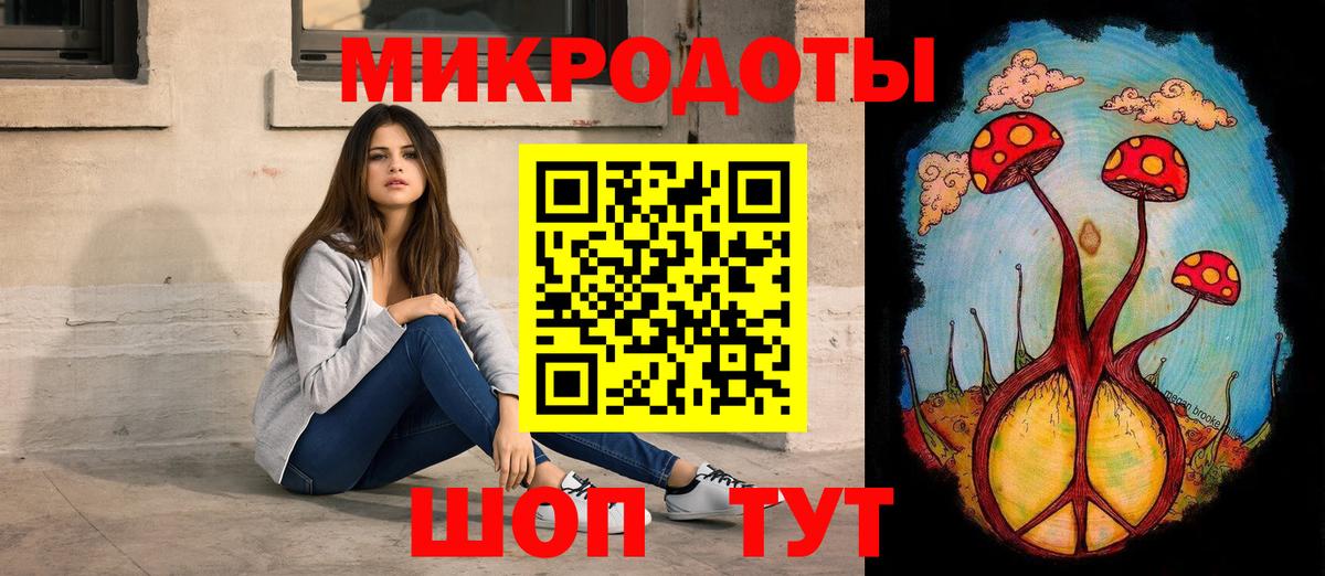 Псилоцибиновые грибы Psilocybe Тихорецк